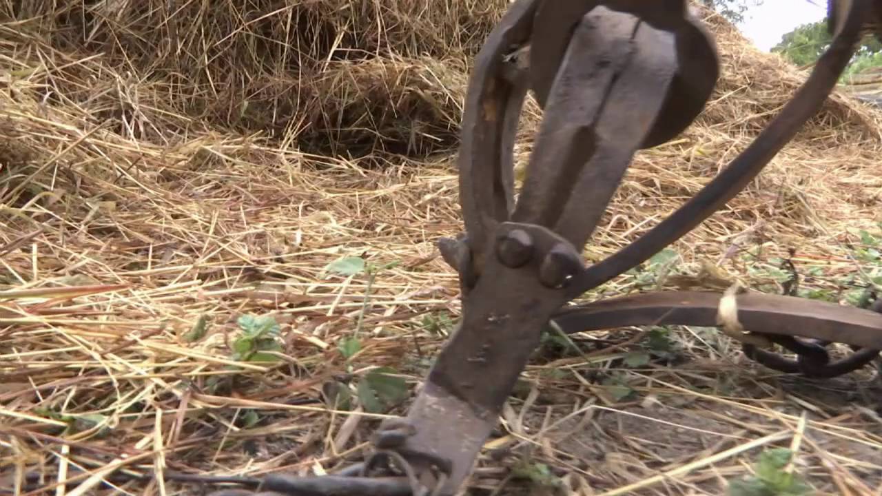 Anti Poaching with Bruce Watson on Catouda 9 in Mozambique with Mokore.