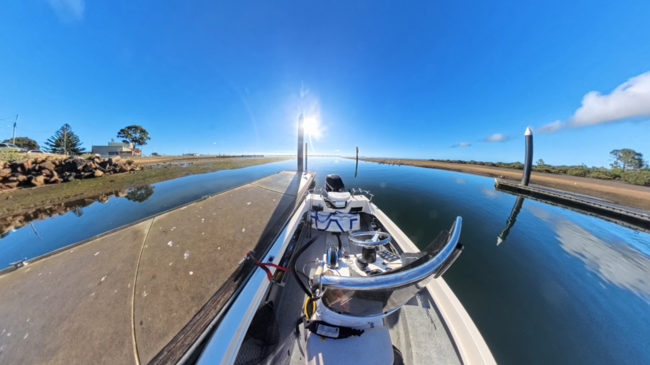 Melbourne Kingfish on a Sabiki Jig. Western Port Bay