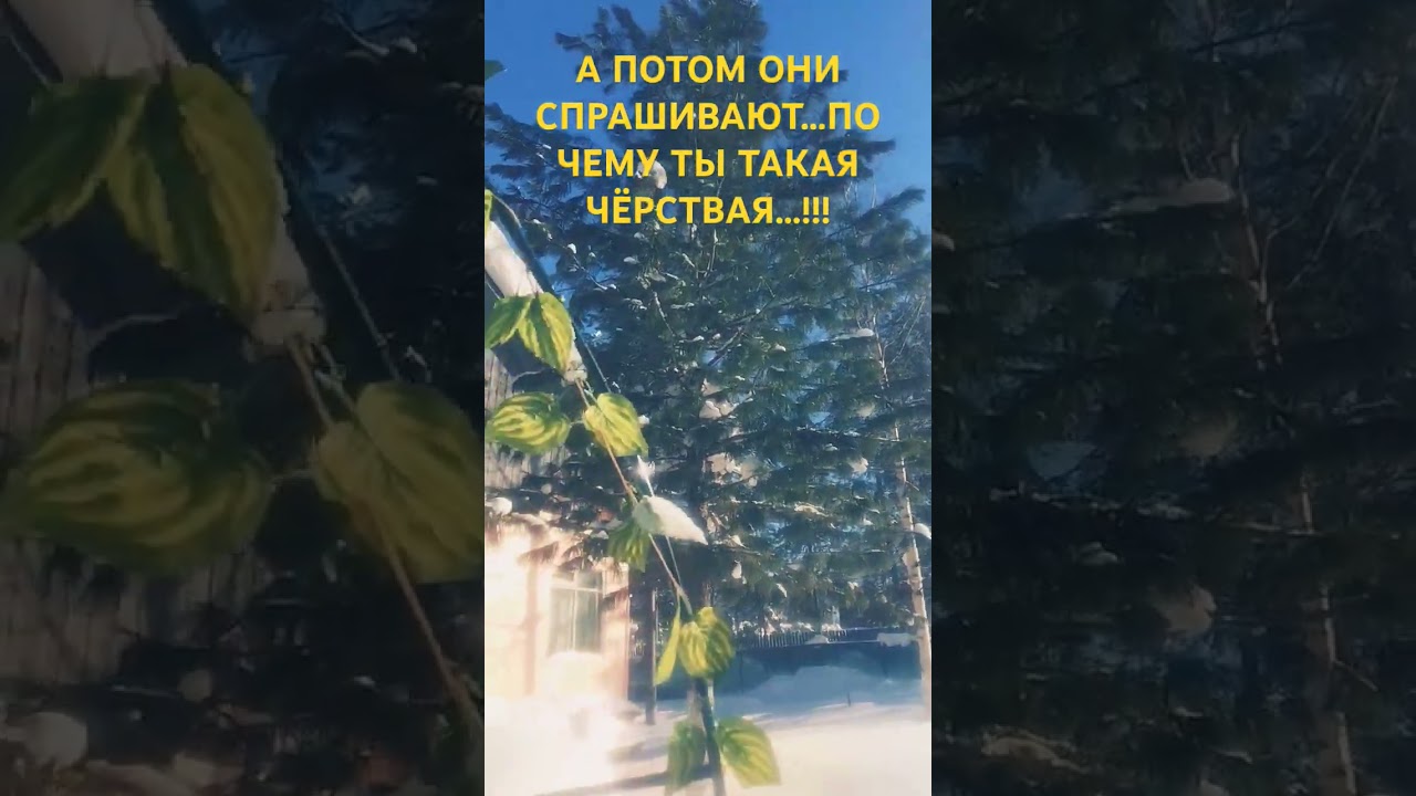 А ПОТОМ ОНИ СПРАШИВАЮТ, ПОЧЕМУ ТЫ ТАКАЯ....⁉️⁉️⁉️