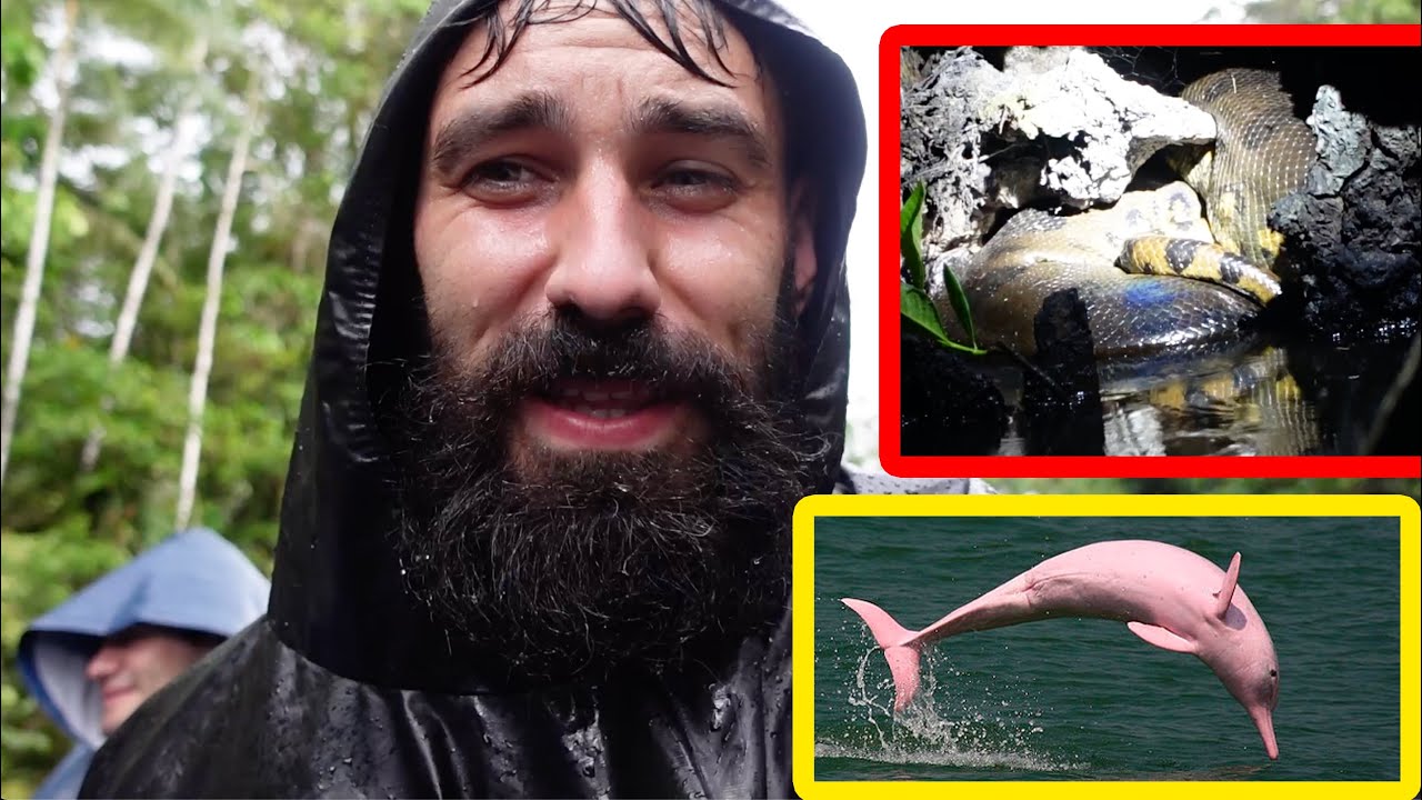 AMAZONIA CUYABENO - RÓŻOWE DELFINY I SIEDMIOMETROWA ANAKONDA
