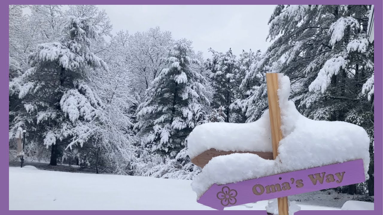 January 2026 winter in New England