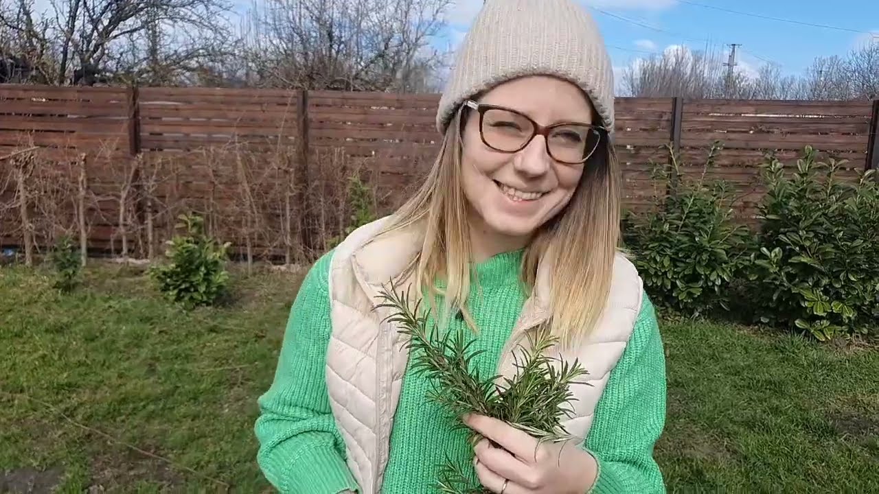 Rozmaring tavaszi metsz&eacute;se: ezekre j&oacute;, ha figyelsz