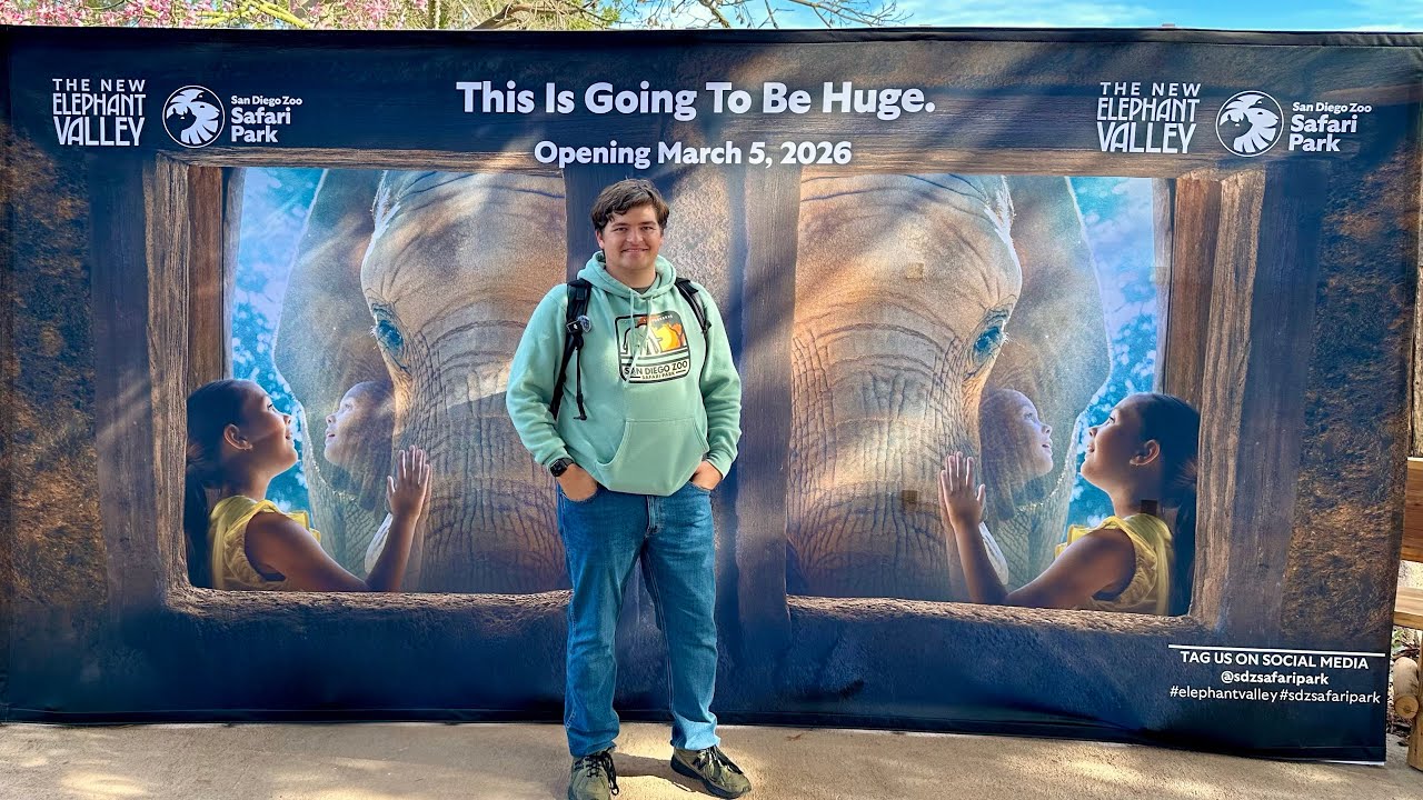 Меня пригласили на предварительный показ Elephant Valley - Обновление Elephant Valley