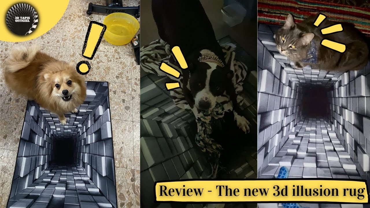 Review of the new optical illusion Rug #Shorts #vortexillusionrug #3dtapisofficiel