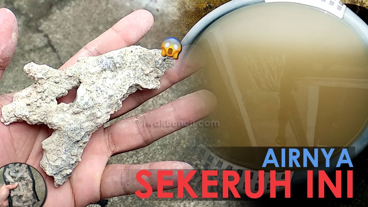 Yang Sering Ngeluh Air Aquarium Ikan Mas Koki Jadi Tambah Keruh Setelah Pakai Karang Jahe