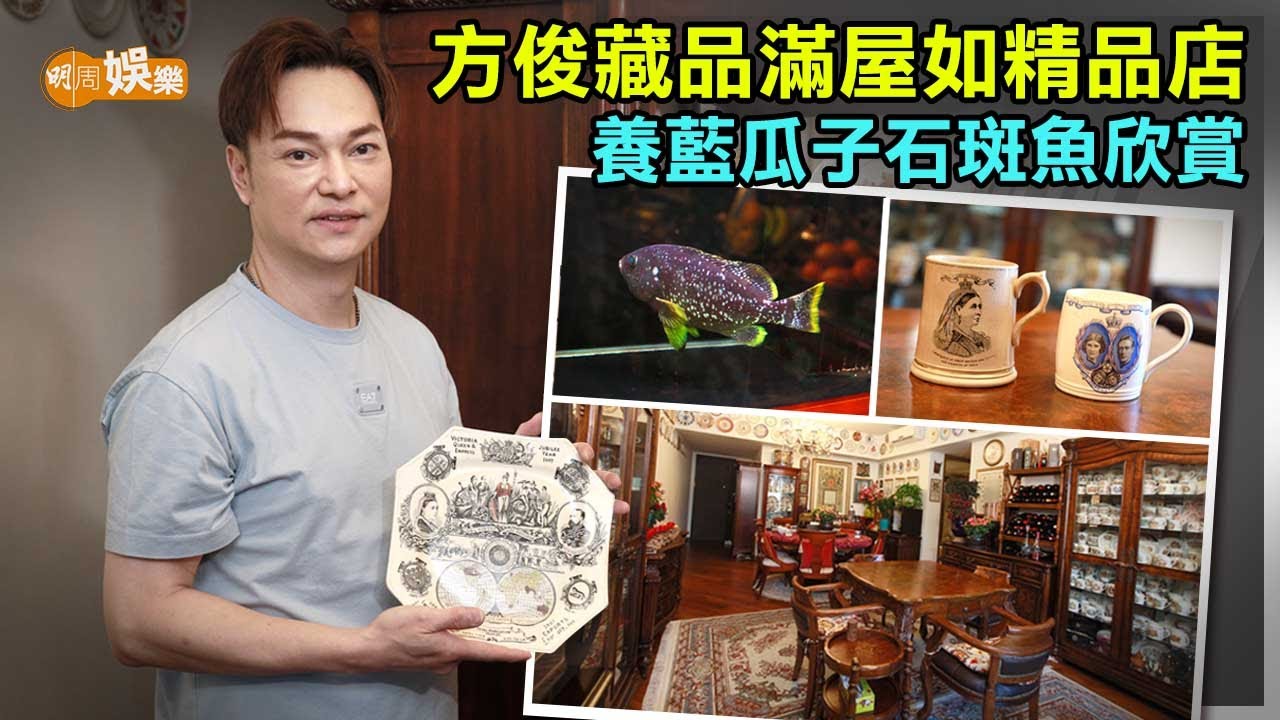 方俊藏品滿屋如精品店 養藍瓜子石斑魚欣賞