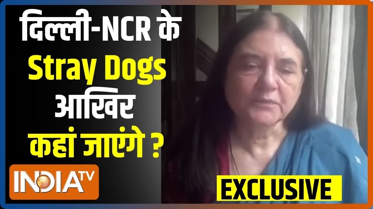 Maneka Gandhi Exclusive: दिल्ली-NCR के Stray Dogs आखिर कहां जाएंगे? | Supreme Court