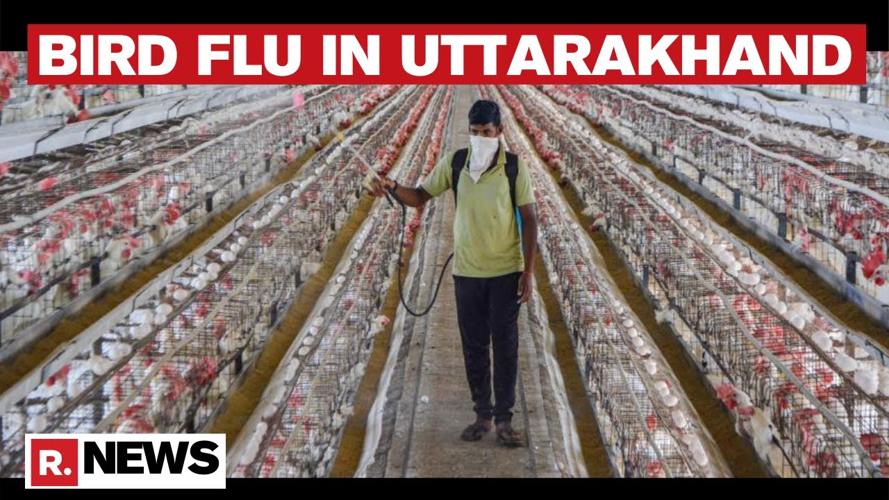 Uttarakhand Becomes 10th State To Confirm Cases Of Bird Flu