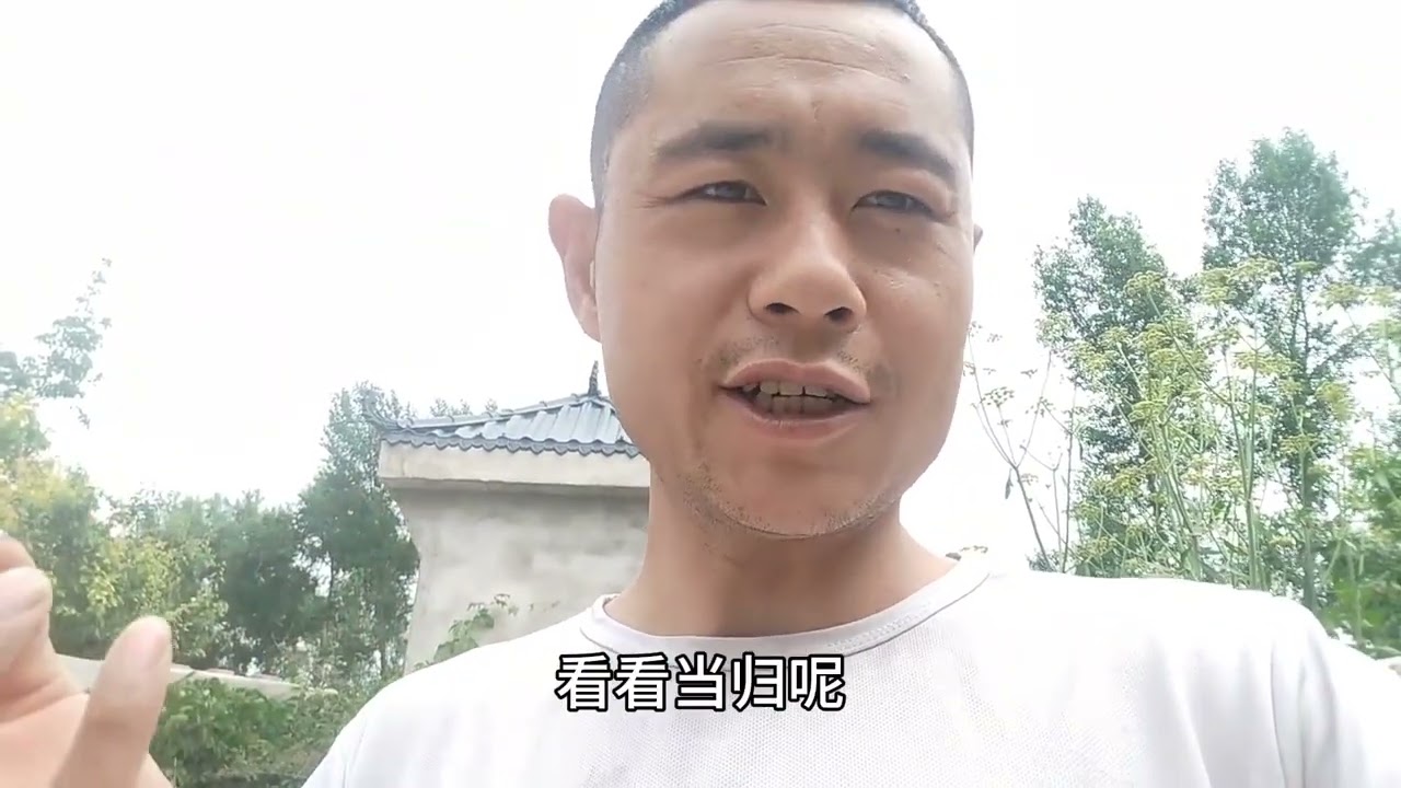 它被误认为野生当归，独活与当归的有什么不同！看完你就全明白了