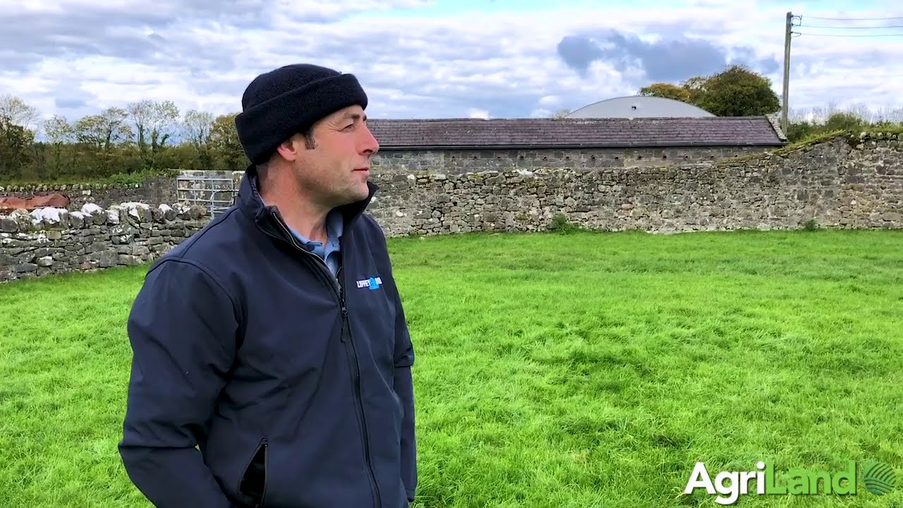 Ger Carey of Gurteen Agricultural College talks about the breeding period and how it's going so far