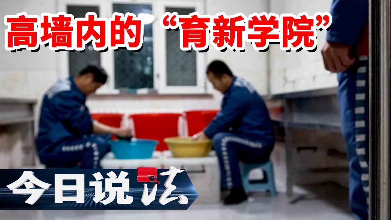 《今日说法》从“高墙”到“高光” 刑满释放人员用技能重启人生！20260204 | 今日法案
