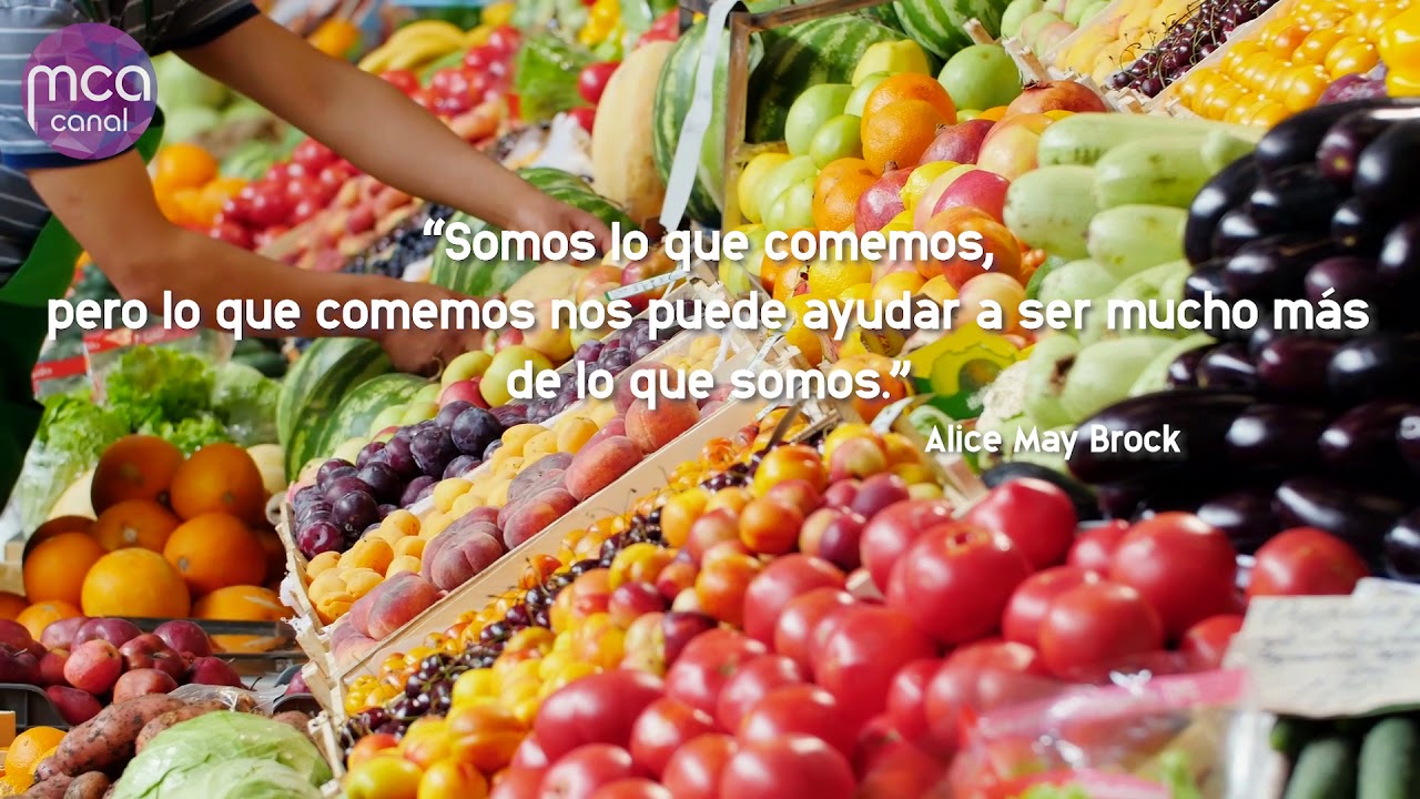 Alimentaci&oacute;n Saludable MCA Canal