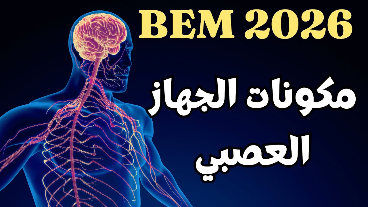 مكونات الجهاز العصبي في 4 دقائق