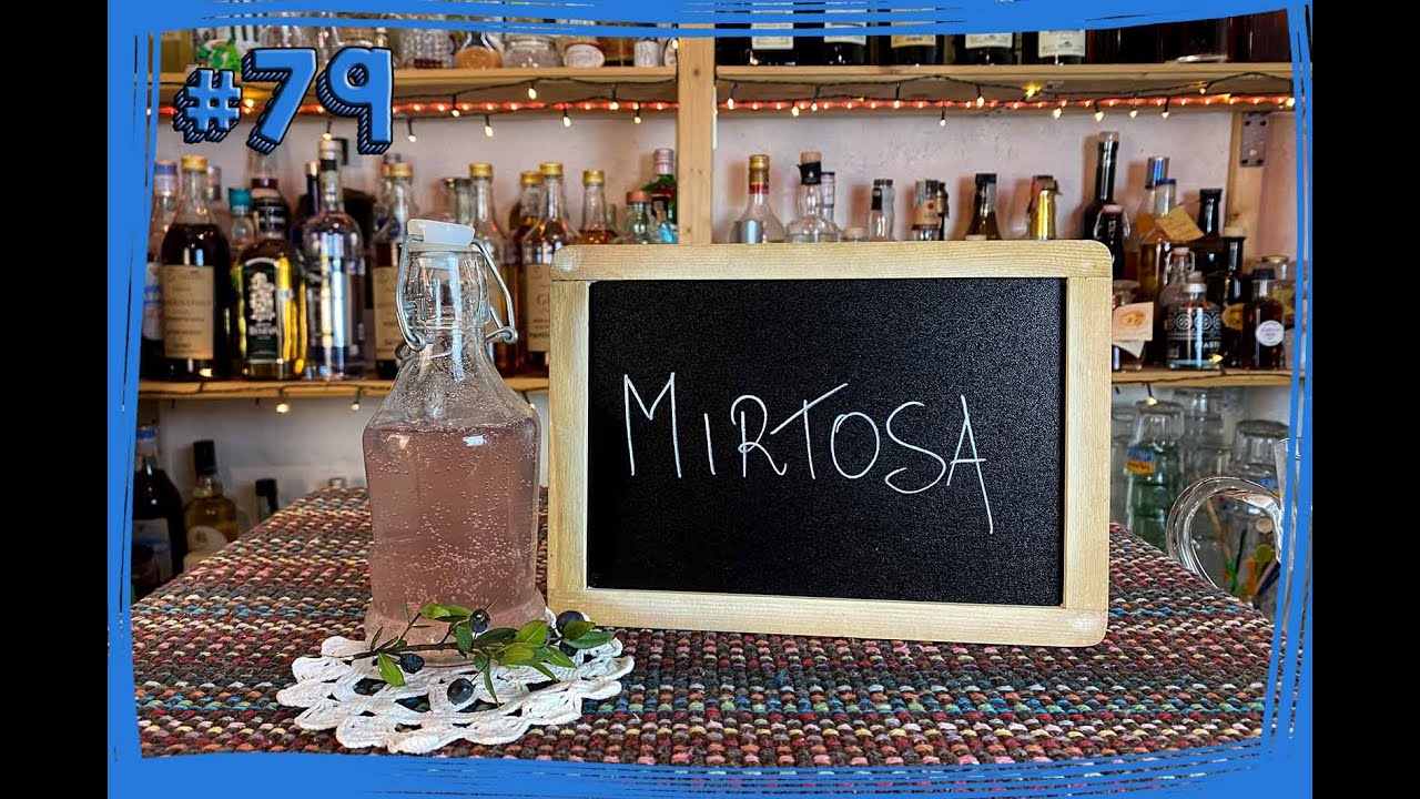 #79 Basi e Premix - Come preparare una BIBITA GASSATA al MIRTO SELVATICO (Mirtosa) - by Elia Calò