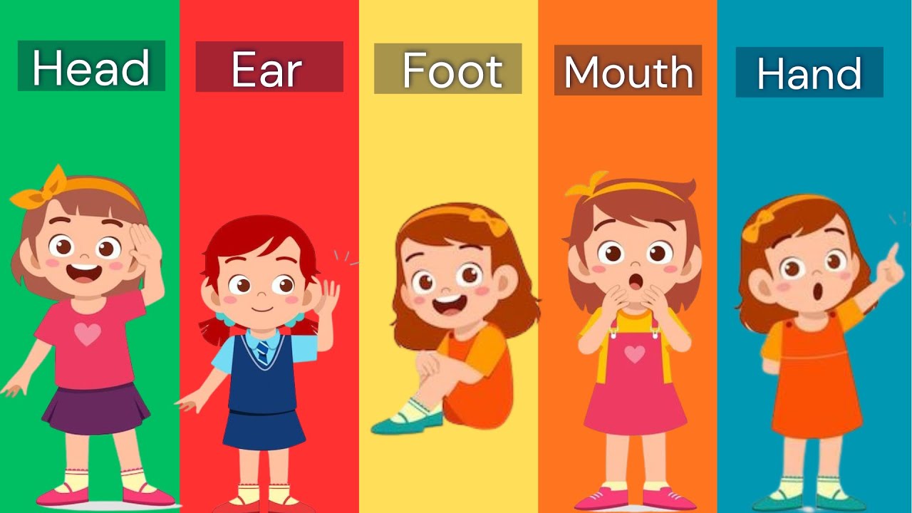 Learn Parts of Body Name | Body parts name for kids | Learn parts of body in classroom/ kidslearntv