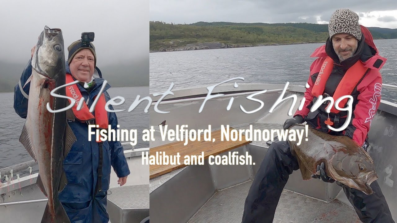 Fishing at Velfjord, Nordnorway! Halibut and coalfish.👈👌 #fishing #fish #norway
