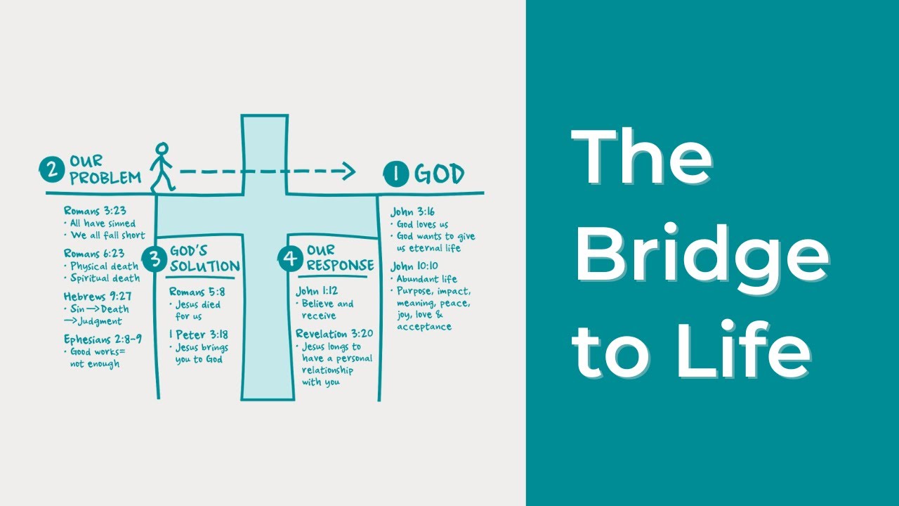 The Bridge to Life Illustration