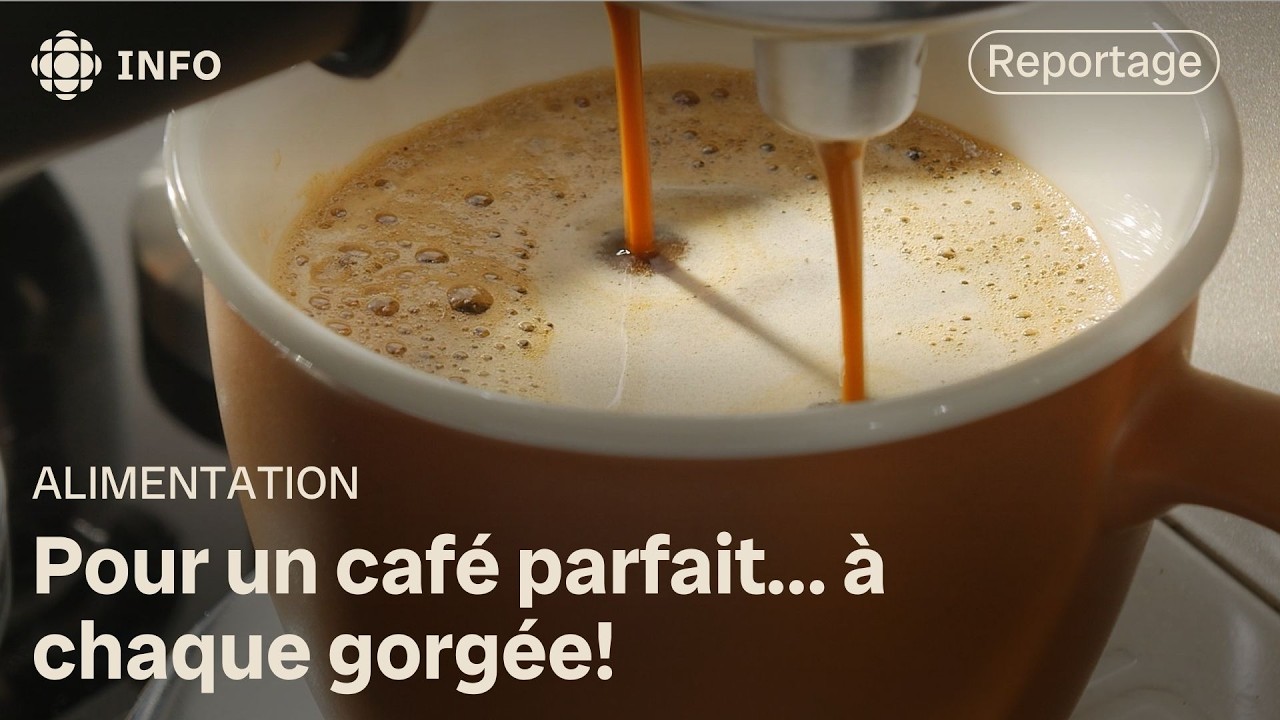 Comment bien choisir son café? | L'épicerie