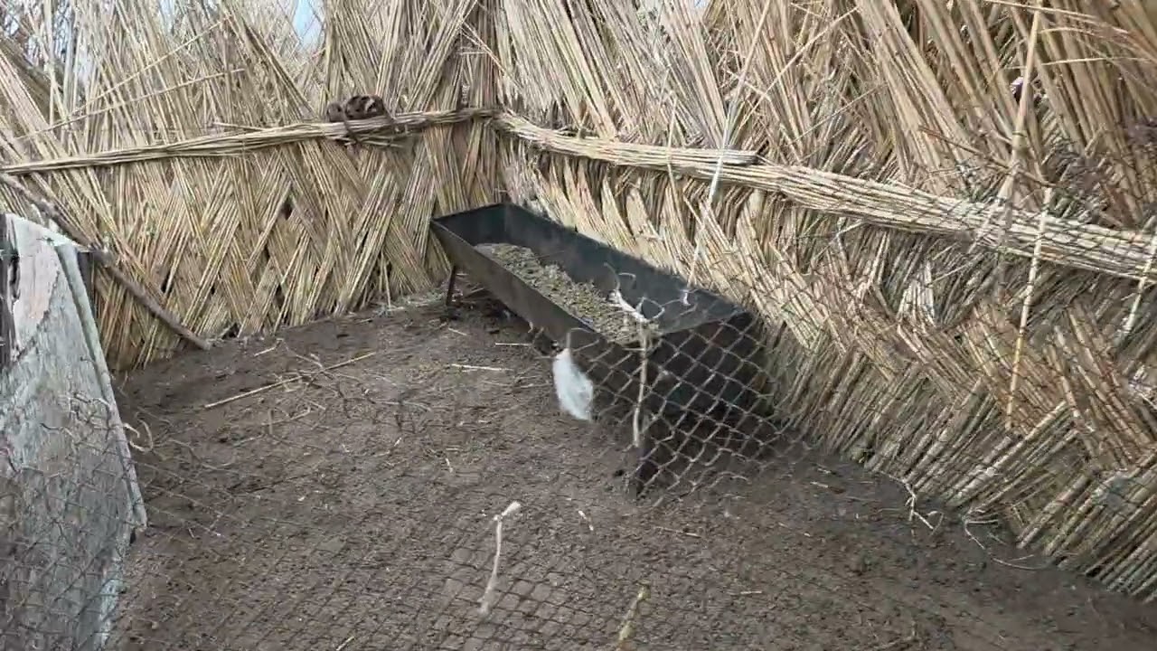 12 января 2026 г.