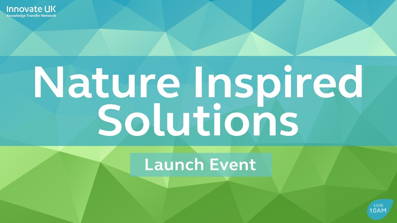 Nature Inspired Solutions meet industry challenges