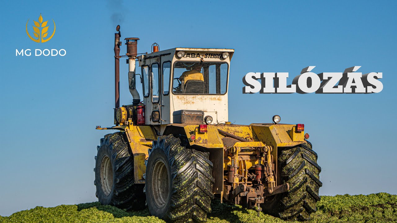 Silózás 2023 Rába-Steiger 250, 9x MTZ, 3x IFA, 3x Claas (Corn/Mais Silage)