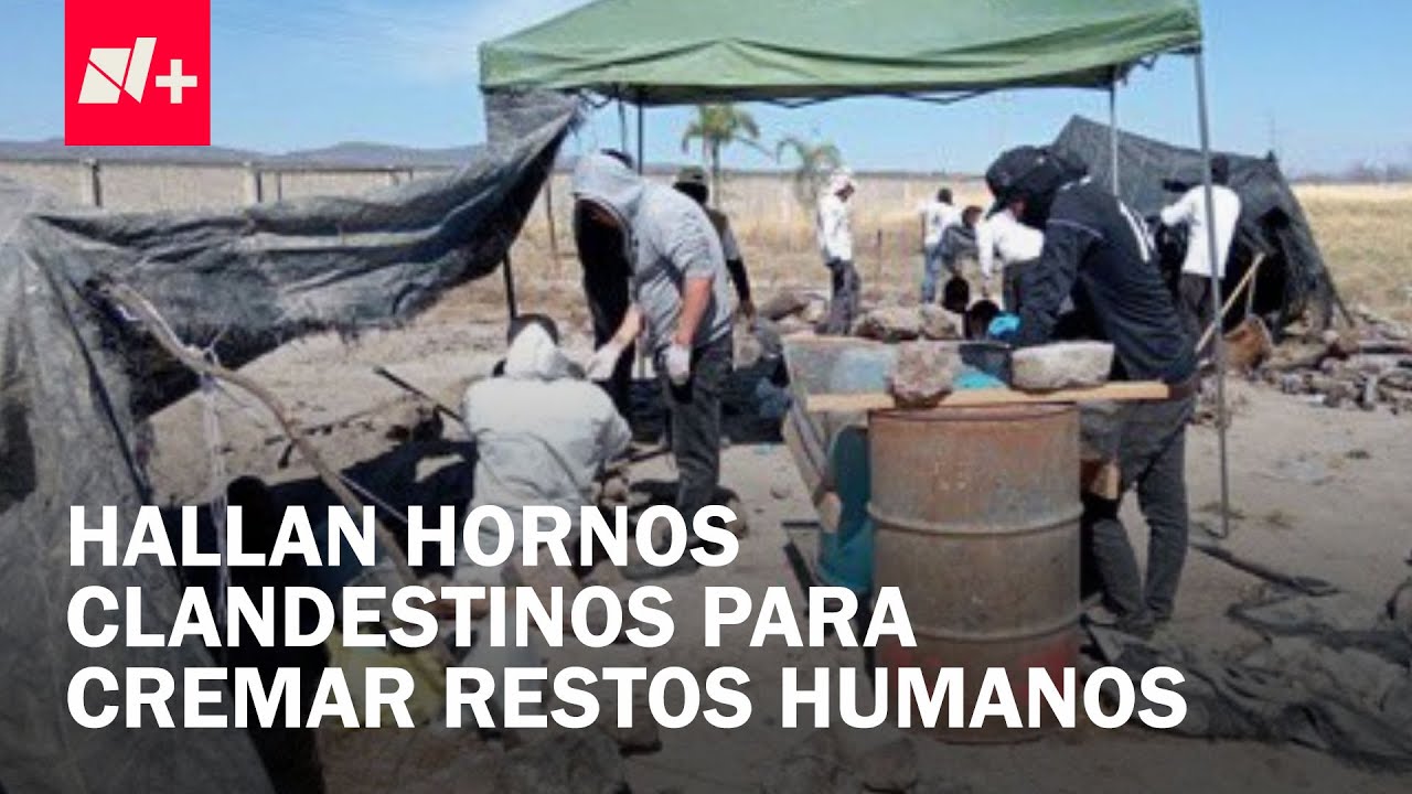 Investigan hallazgo de hornos clandestinos en rancho de Jalisco - En Punto