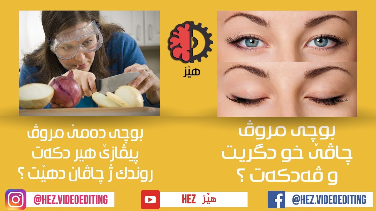 10 پسیارێت چڤێل كو به‌رسڤێن جوان یێت هه‌ین Part-2