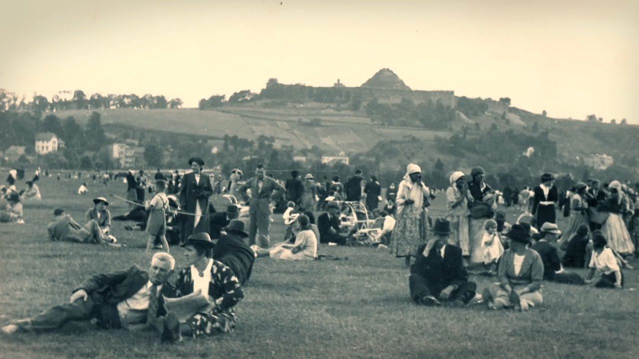 Łąka w środku miasta (krakowskie Błonia - film dokumentalny)