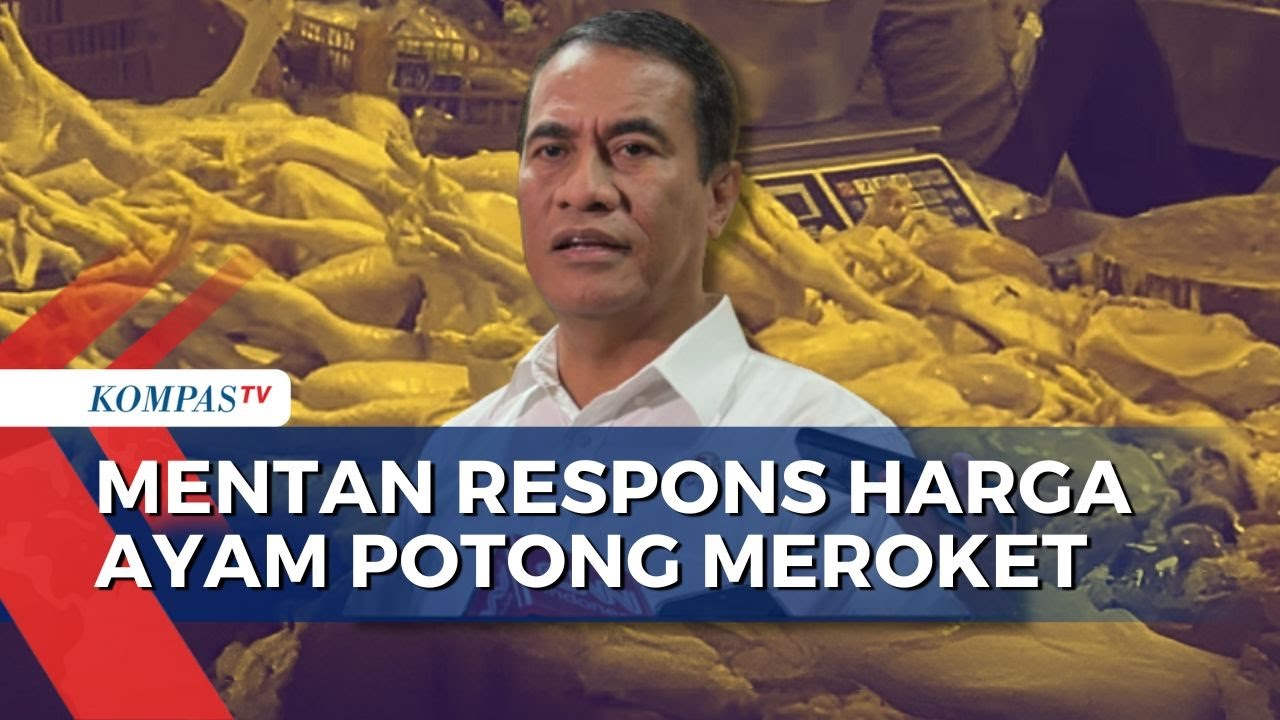 Harga Ayam Potong Tembus Rp48 Ribu per Kg, Mentan: Sebentar Lagi Stabil | KOMPAS SIANG
