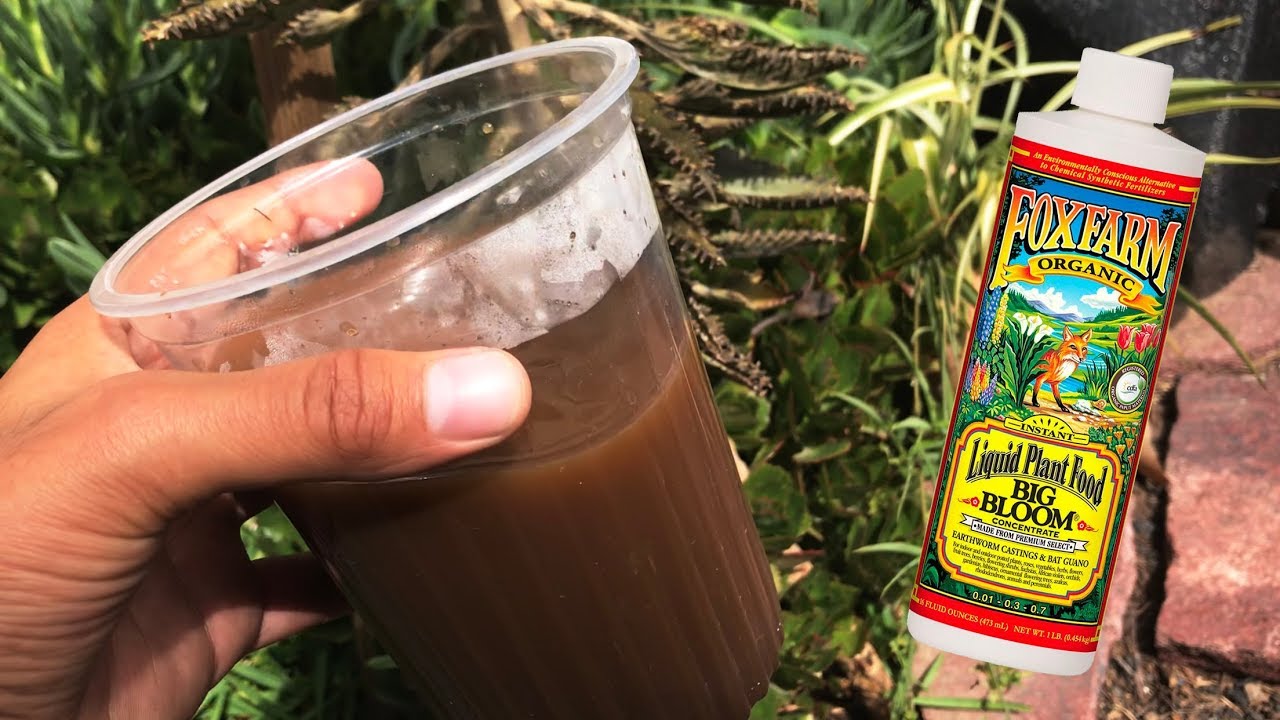 C&oacute;mo hacer humus de lombriz l&iacute;quido con humus de lombriz s&oacute;lido