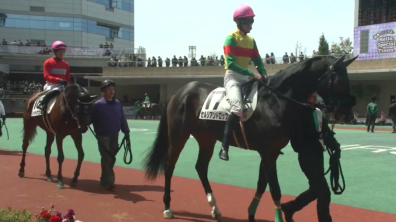 3歳未勝利 現地 パドック バルナバ マイネルフィスキオ リーティアコナル サトノアルタイル ドラギニャン 2025/3/29 中京競馬場 5R