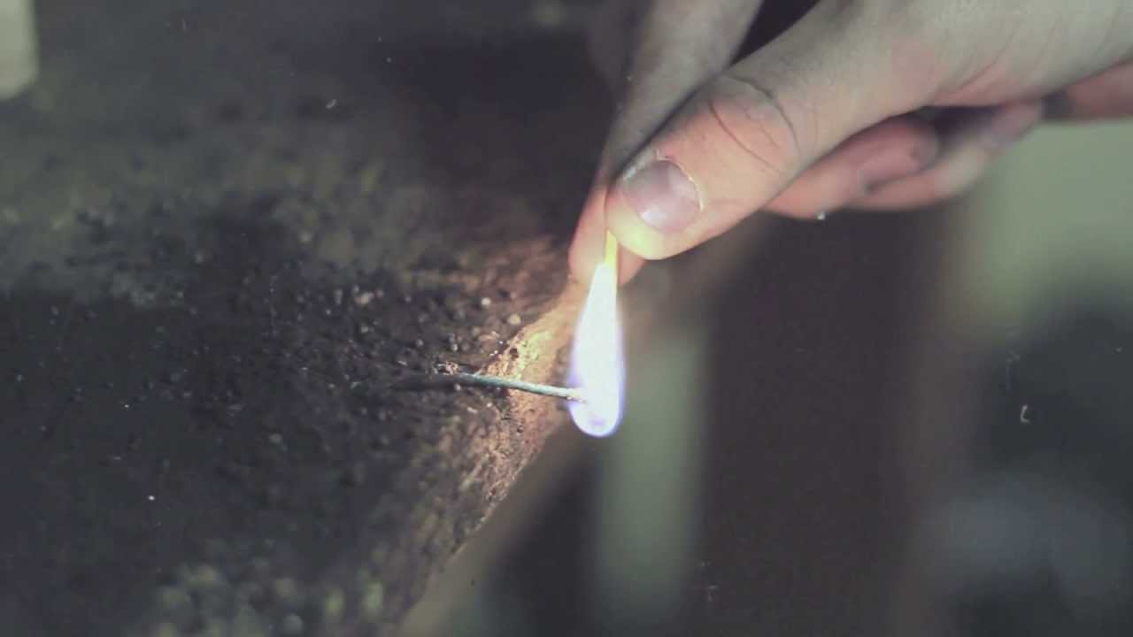 Fire at Will - Can't Wait [Official Video]