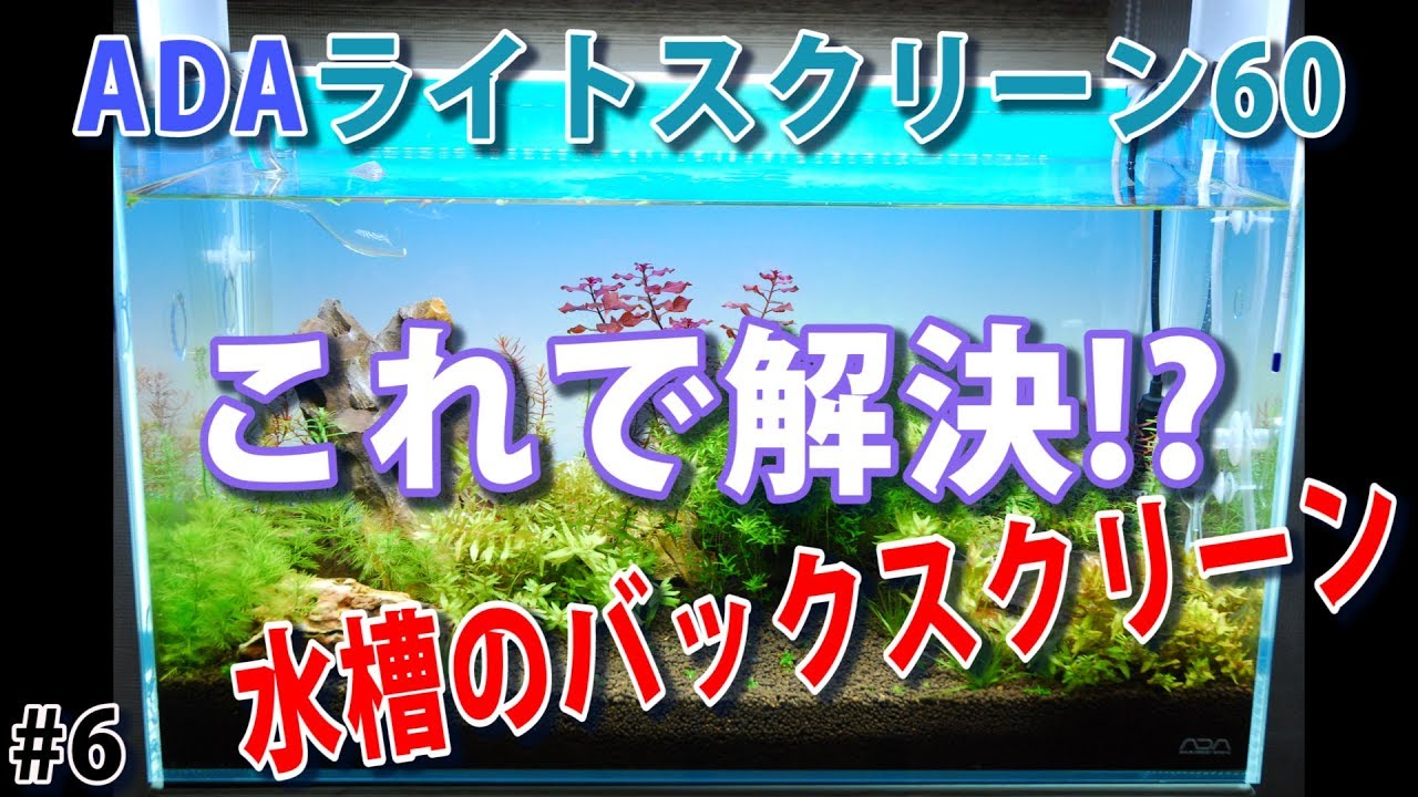 【ADA ライトスクリーン60 】バックスクリーンの悩みはこれで解決！？(ADA Light Screen 60)【水草水槽 (Planted aquarium)】#6