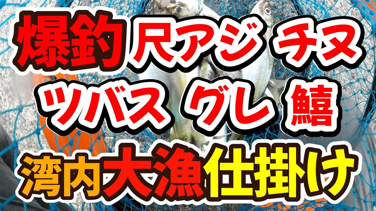 爆釣、尺アジ　チヌ　ツバス　グレ　キス　この仕掛けと釣り方、湾内で色々釣れる（仕掛け解説あり）