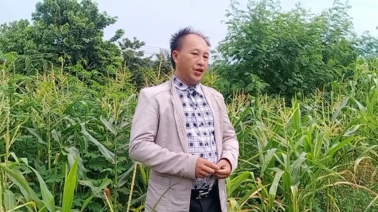 Zag thoj kwv txhiaj tus ntsuag ua neej laus taws lub npe laus tsis tau daws