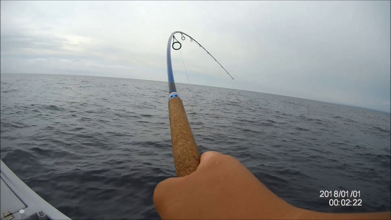 FISH ON!! Lure Casting with Xzoga Mastery Rod and Shimano Stradic SW Reel at Bintulu