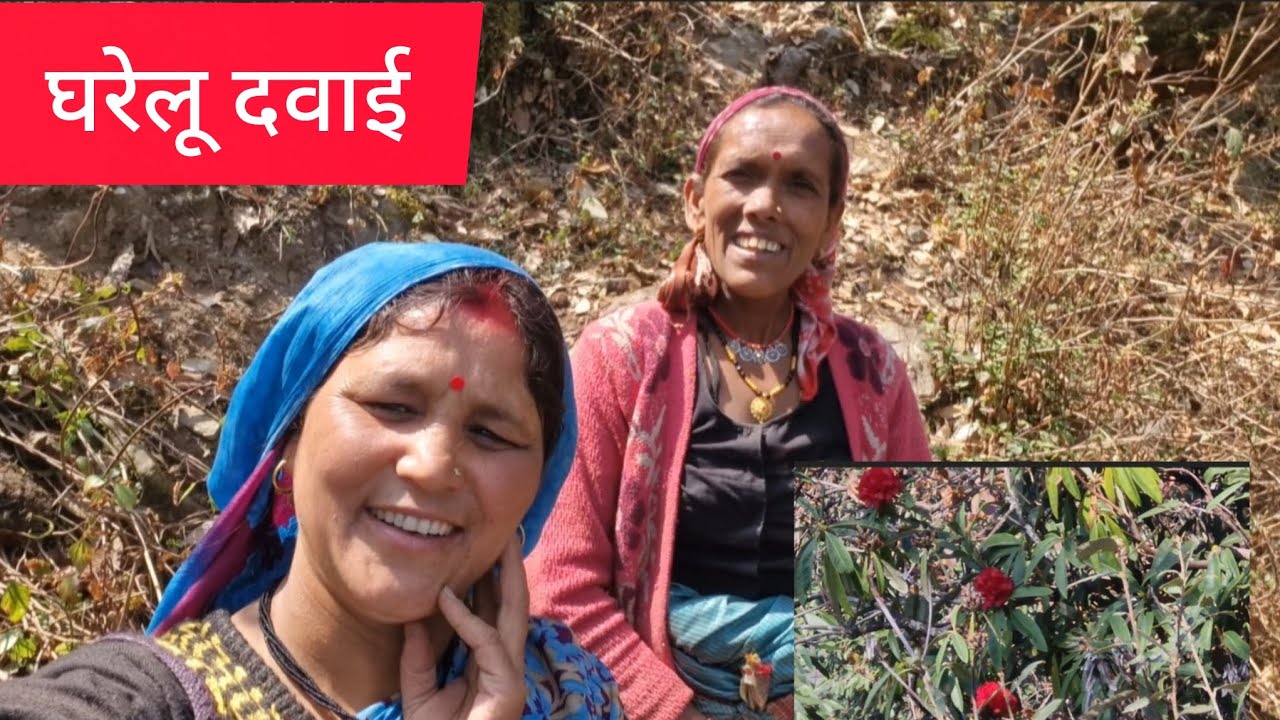 घरेलू दवाई#devbhumi#Uttrakhand#देवभूमि उत्तराखंड#pahadi#Garhwali