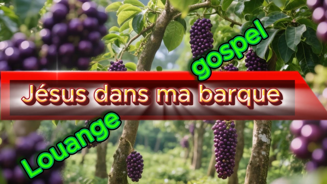 Jésus dans ma barque