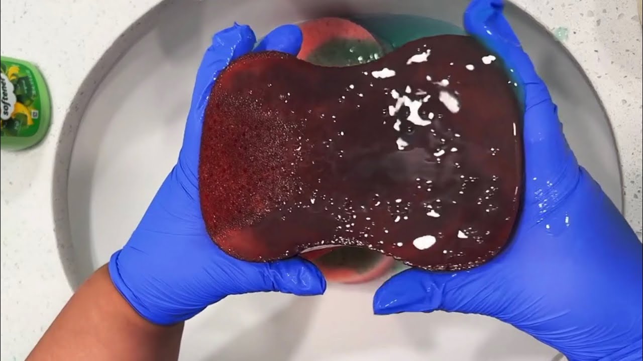 Sponge Squeezing Ocean Pineglow and Gain Part 1 | Sponge Squeezing ASMR