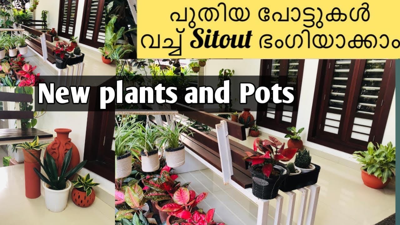 My new plants and pots/ Sit out Rearrangement/ Green leaves by fasi