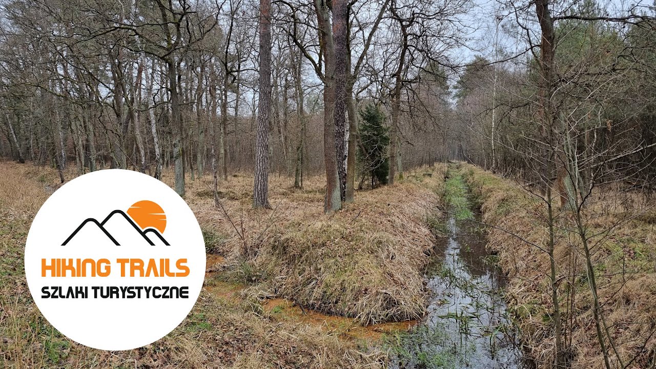 🇵🇱 Podg&oacute;rze Bocheńskie REZERWAT DŁUGOSZ KR&Oacute;LEWSKI / Bochnia Submontane Rgn DŁUGOSZ KR&Oacute;LEWSKI RESERVE