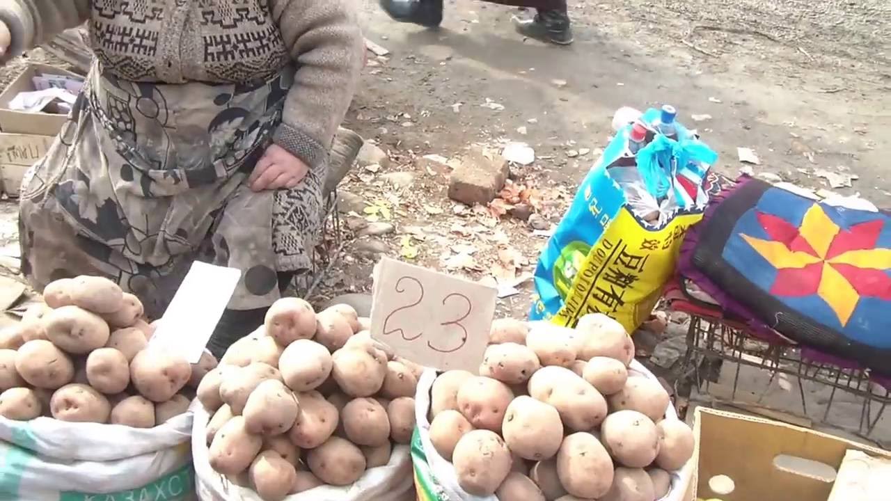 [Kyrgyzstan]  Jayma Bazaar / Базар 