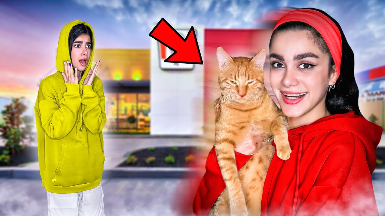 گربه سحرو دزدیدم 🤫🐈(prank)