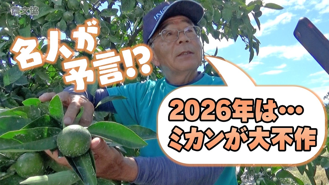 カンキツと対話！セガっちゃんの植物ホルモン塾　2026年の傾向は？