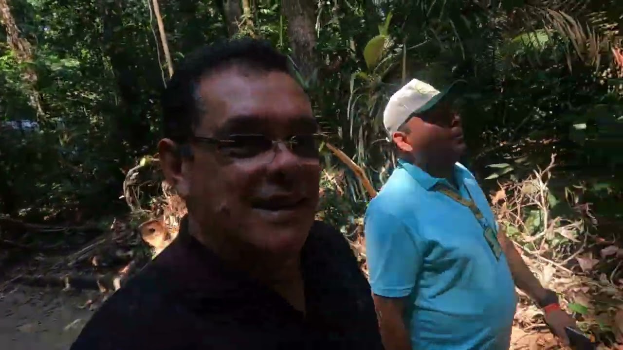 Visitei a floresta amazônica no centro urbano de Manaus Amazonas MUSA