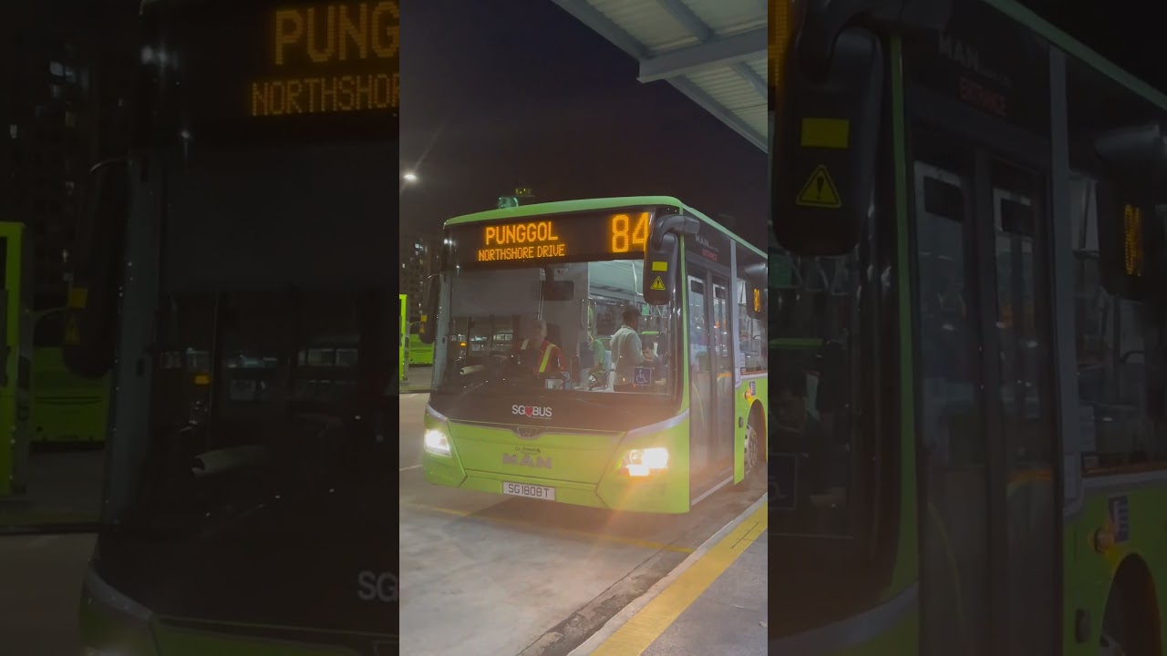 MAN A22 (NL323F) (Euro VI) SG1808T Go Ahead Singapore&times;SGBUS Bus service 84 to Punggol Interchange