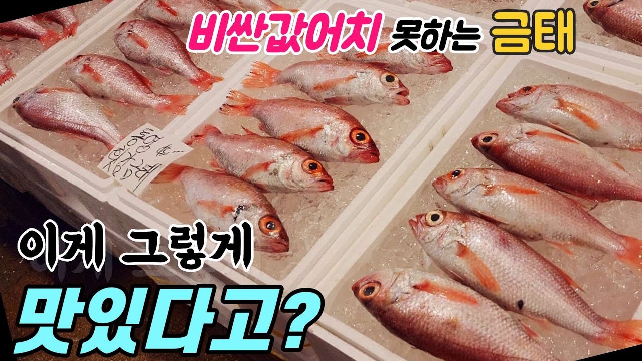 선어회중 최고급이라 불리는 금태(눈볼대)회!! 진짜 그렇게 맛있을까? 값어치 못하는 맛~ 진솔리뷰 갑니다.