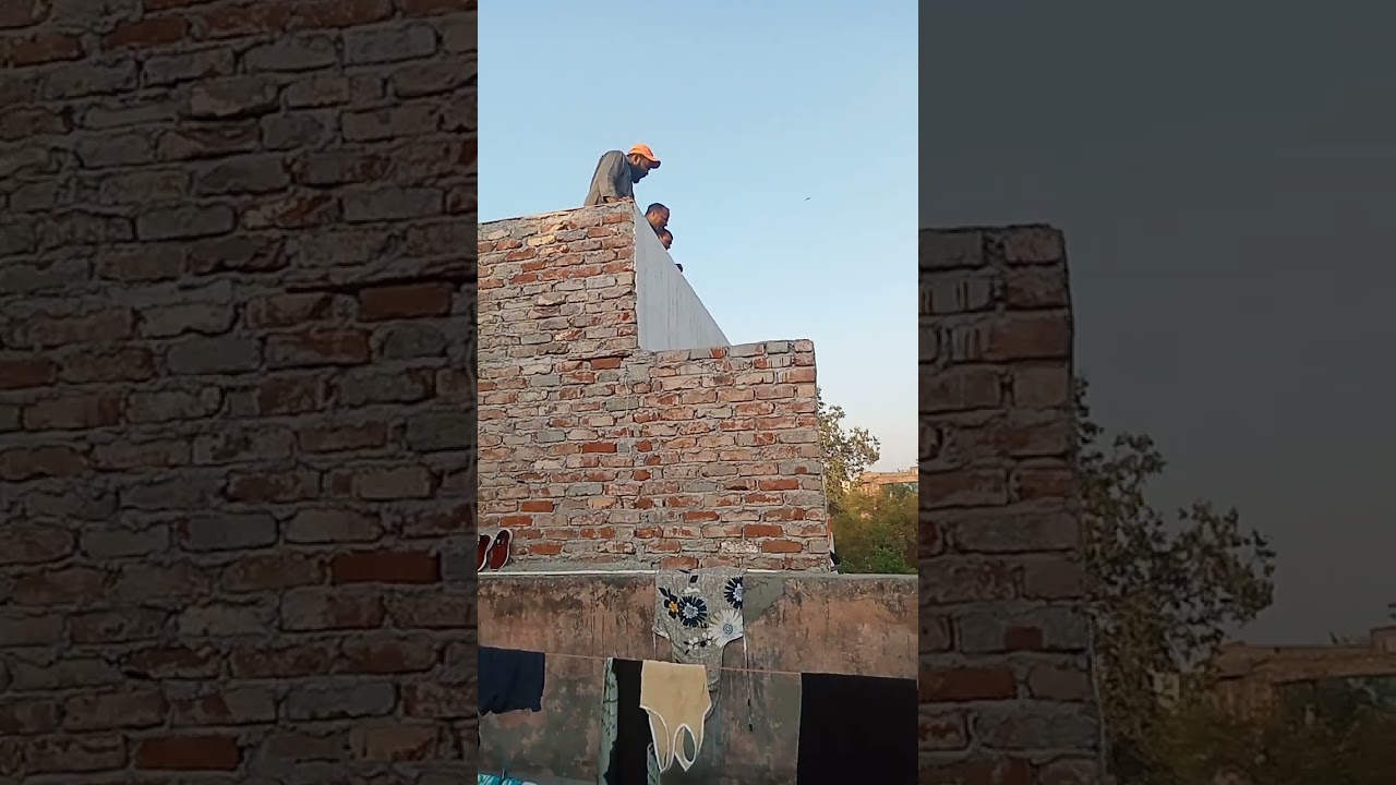 Jana achena pigeon?
