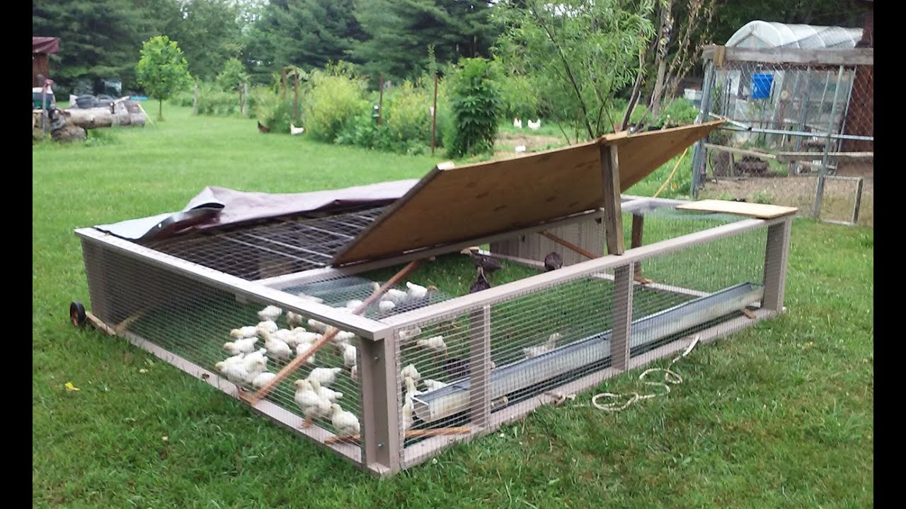 Building A Joel Salatin Style Chicken Tractor