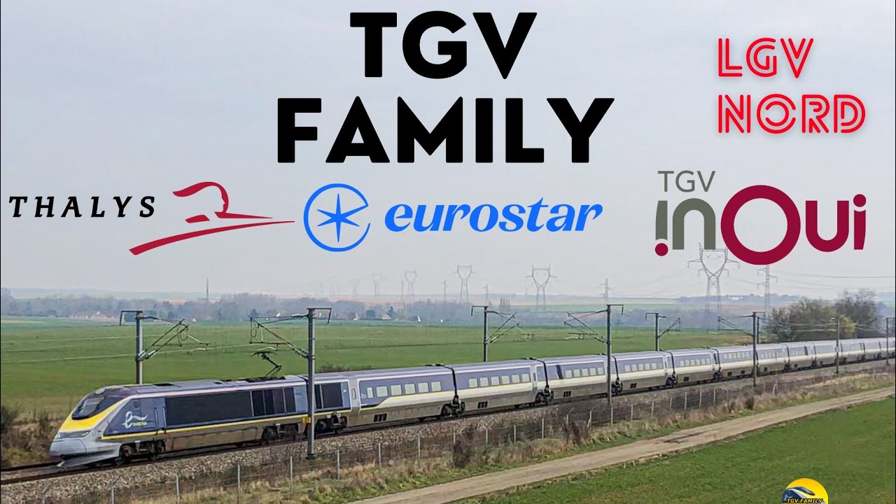 High-speed trains in France ‼️🇫🇷 / Les trains à grande vitesse en france 🇫🇷‼️